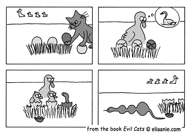 Bird and Eggs